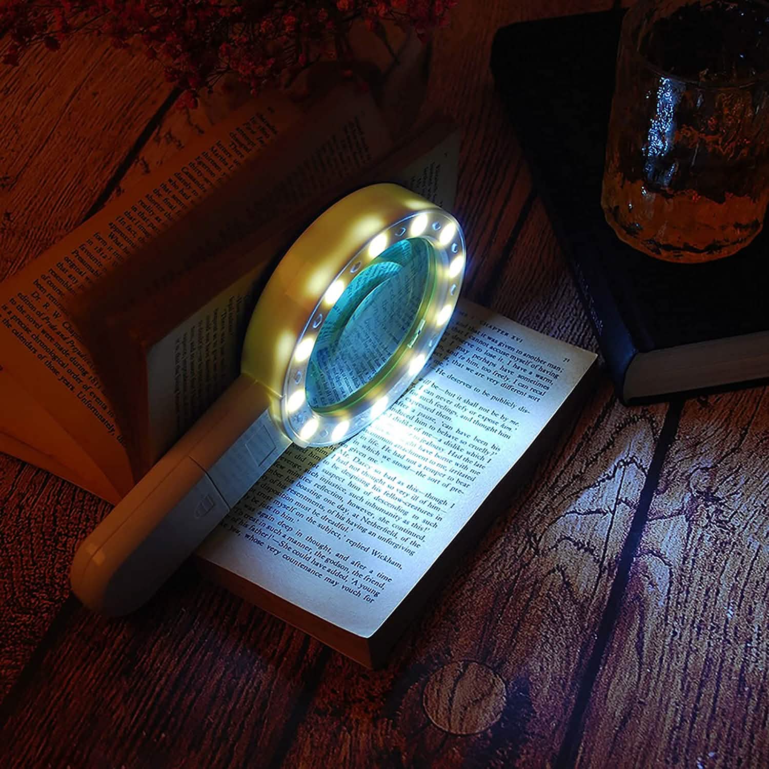 30X Handheld Large Magnifying Glass 12 LED Illuminated Lighted Magnifier DailySale
