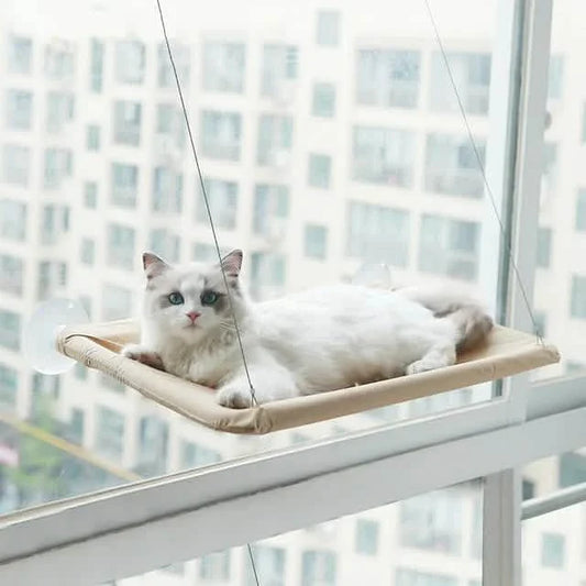 360¬∞ Cat Window Hammock: A Space-Saving Sunny Seat for Indoor Cats! DailySale