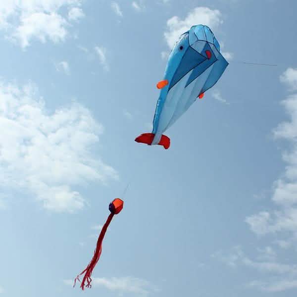 3D Kite Frameless Soft Giant and Parafoil DailySale