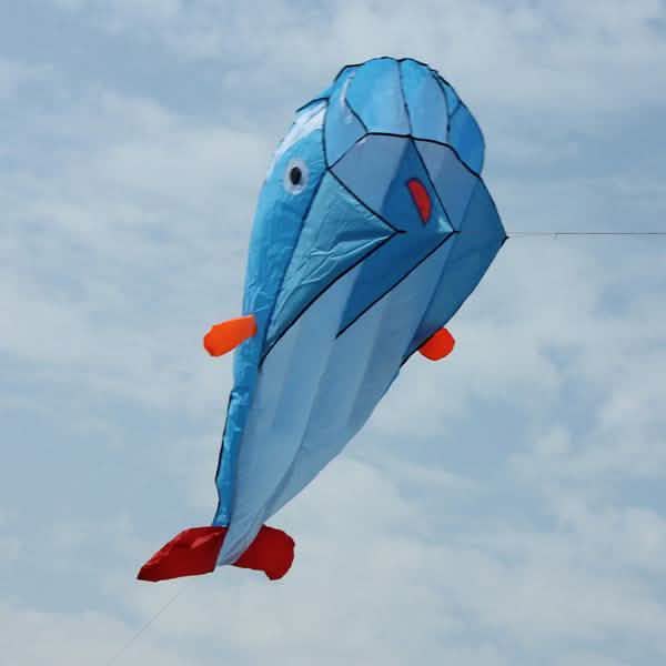 3D Kite Frameless Soft Giant and Parafoil DailySale