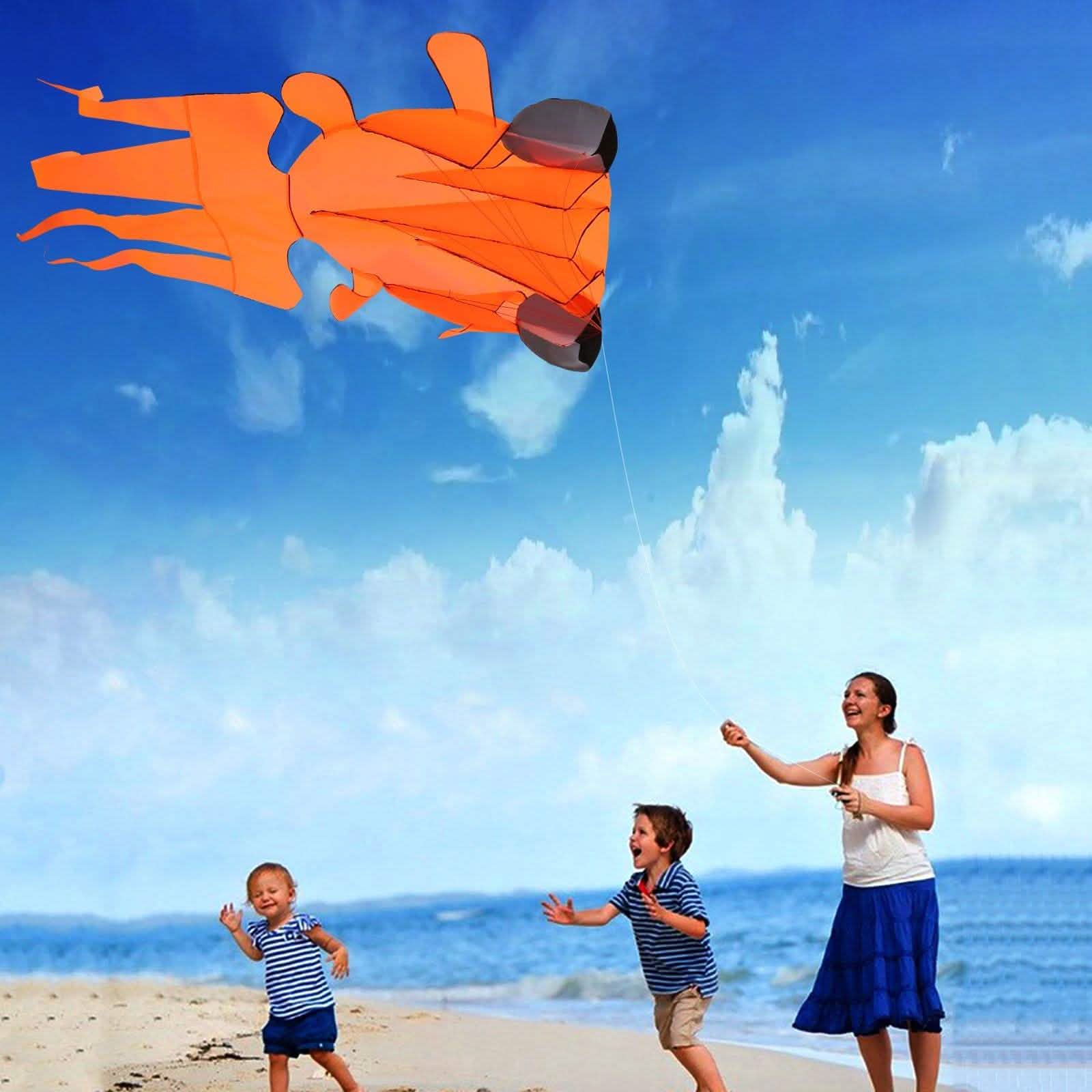 3D Kite Frameless Soft Giant and Parafoil DailySale