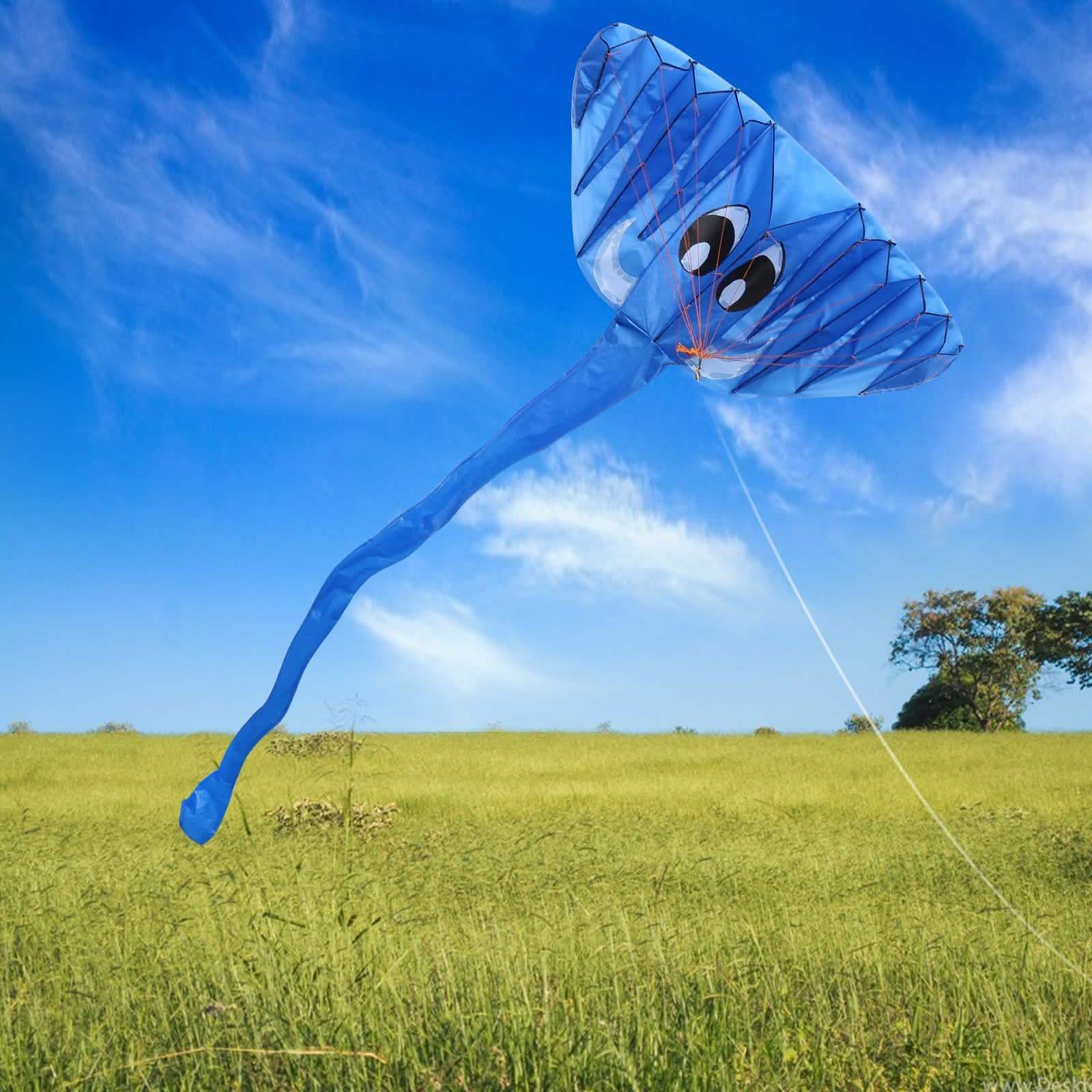 3D Kite Giant Elephant Easy to Fly Outdoor Games Activities for Kids DailySale