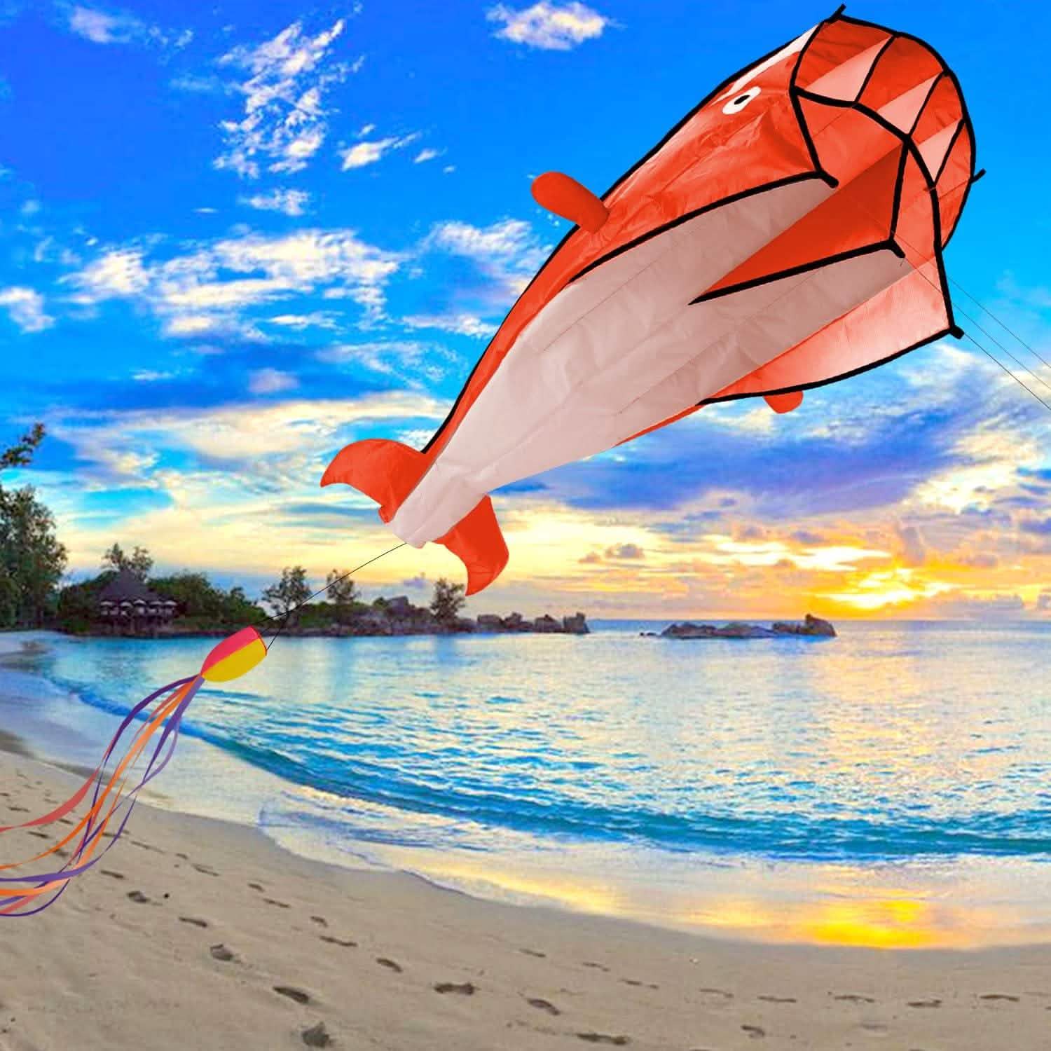 3D Kite Huge Frameless Soft Parafoil Giant Dolphin DailySale
