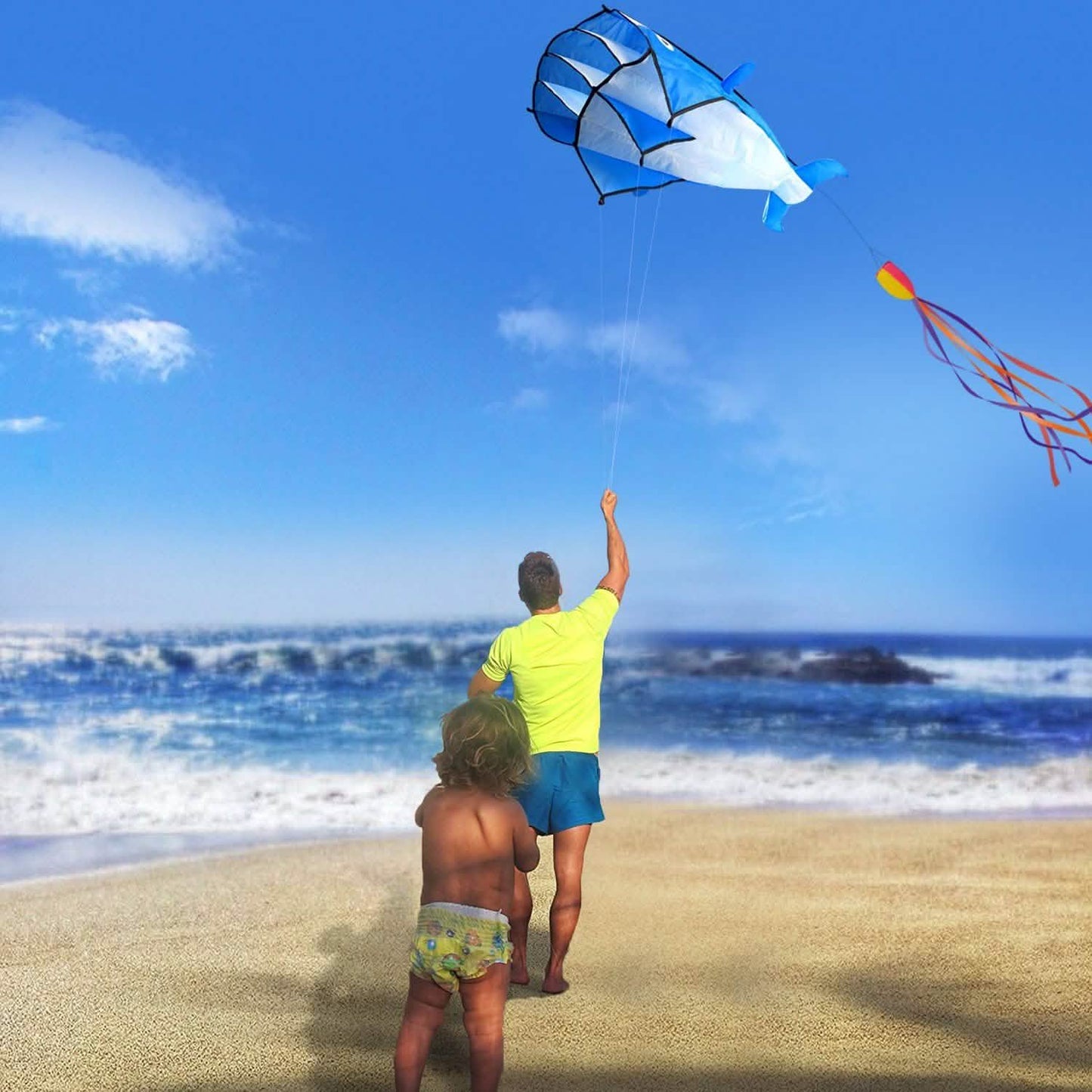 3D Kite Huge Frameless Soft Parafoil Giant Dolphin DailySale