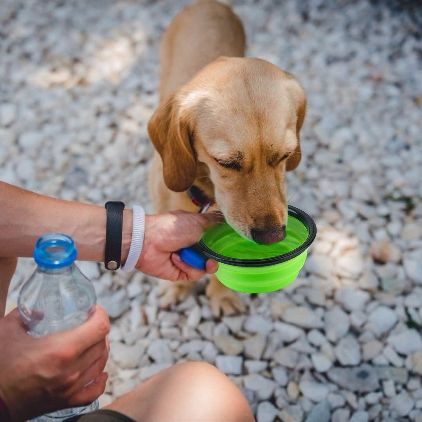 4-Pack: Silicone Collapsible Dog or Cat Food Water Bowl DailySale