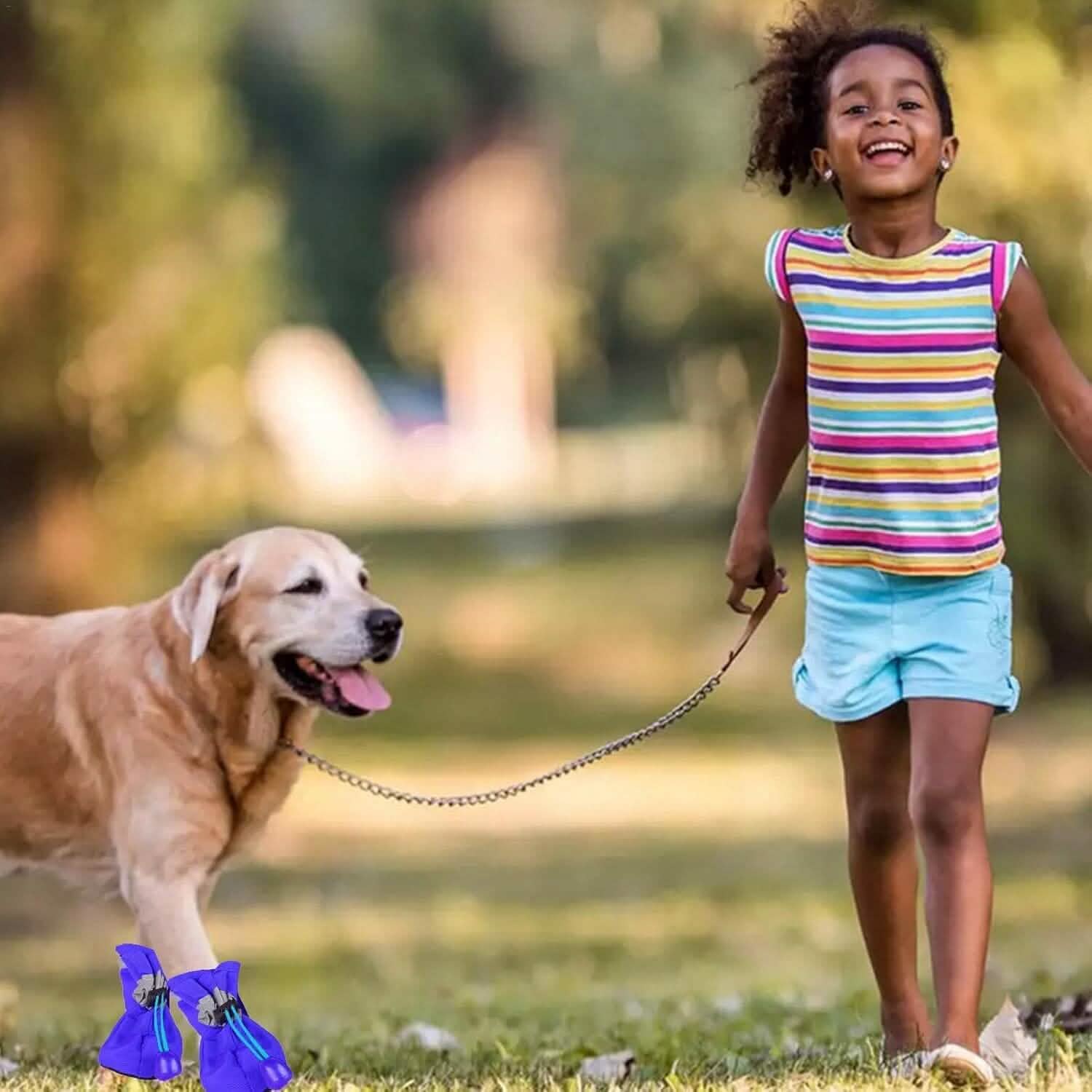 4-Pieces: Water-Resistant Dog Bootie Shoes DailySale