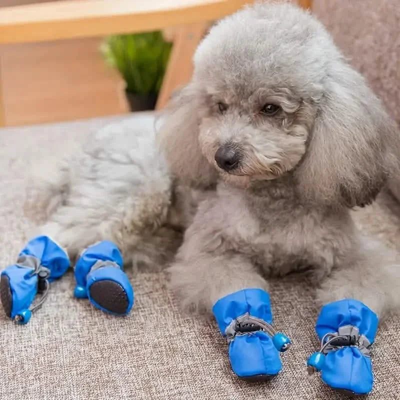 4-Pieces: Water-Resistant Dog Bootie Shoes DailySale