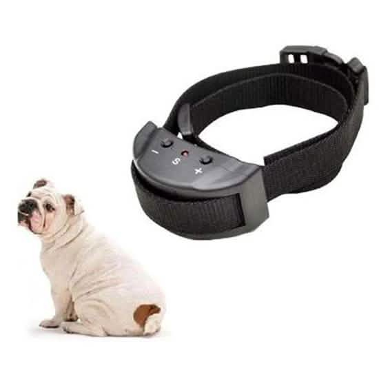 4Pet Advanced No Bark Dog Training Collar with Clicker DailySale