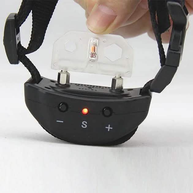 4Pet Advanced No Bark Dog Training Collar with Clicker DailySale