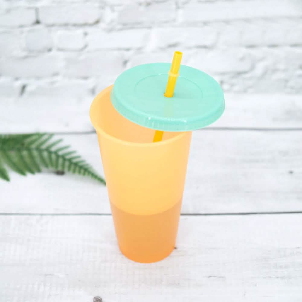 5-Pack: Colorful Drinking Cup with Lid and Straw DailySale