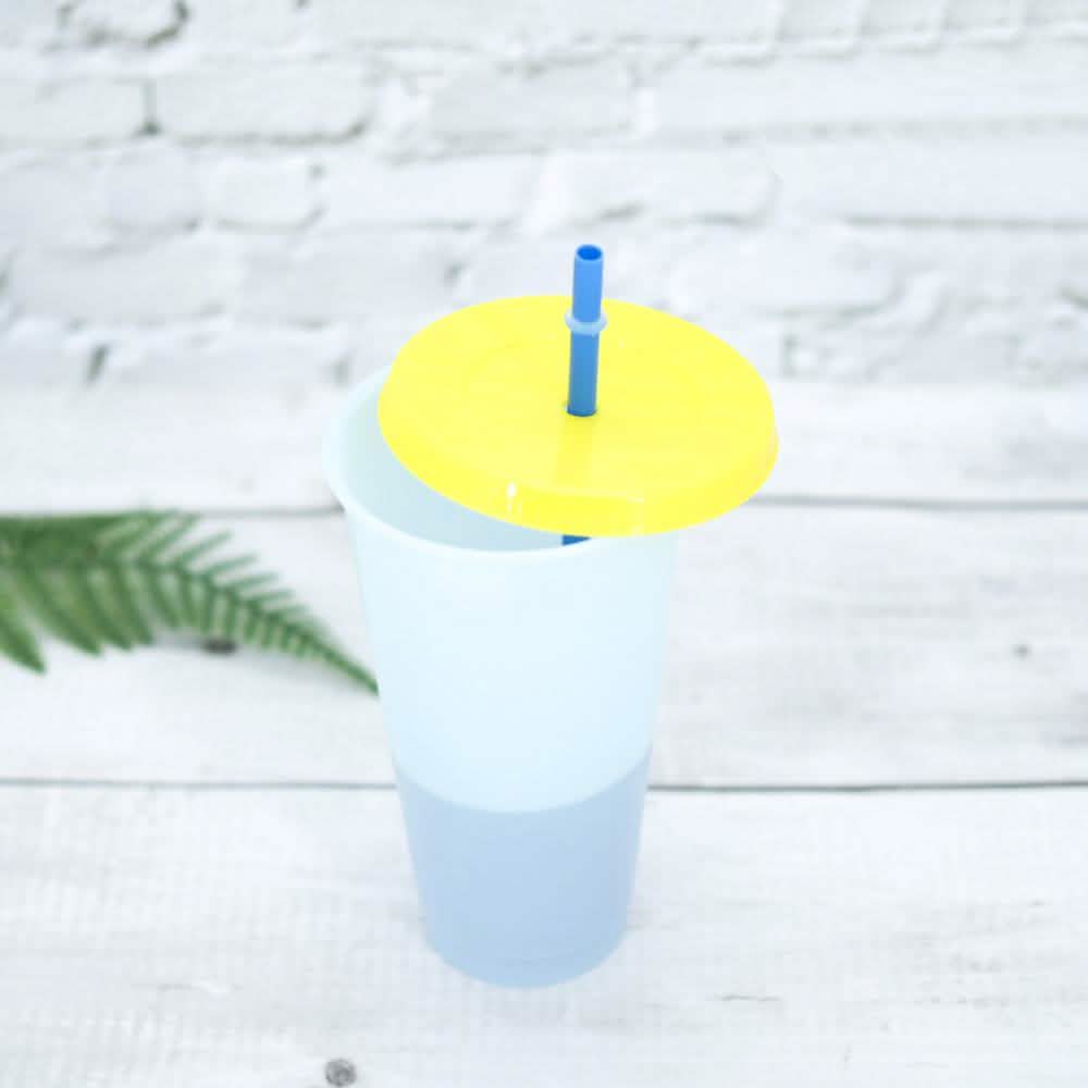 5-Pack: Colorful Drinking Cup with Lid and Straw DailySale