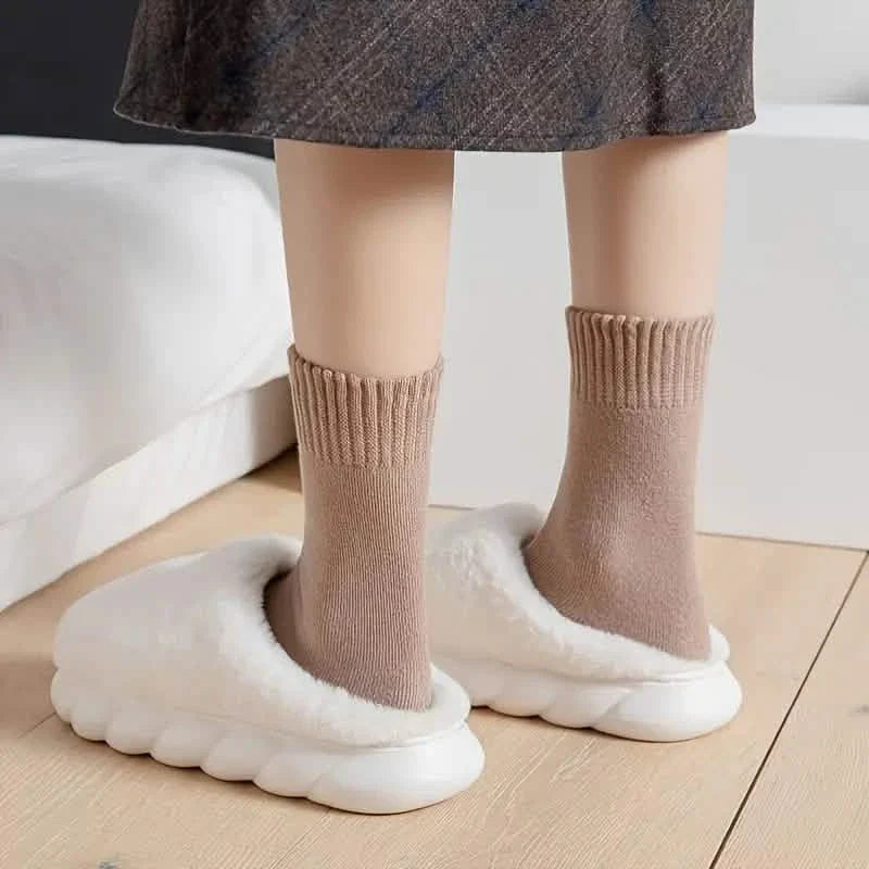 5-Pairs: Thick Thermal Mixed Color Mid Tube Socks DailySale