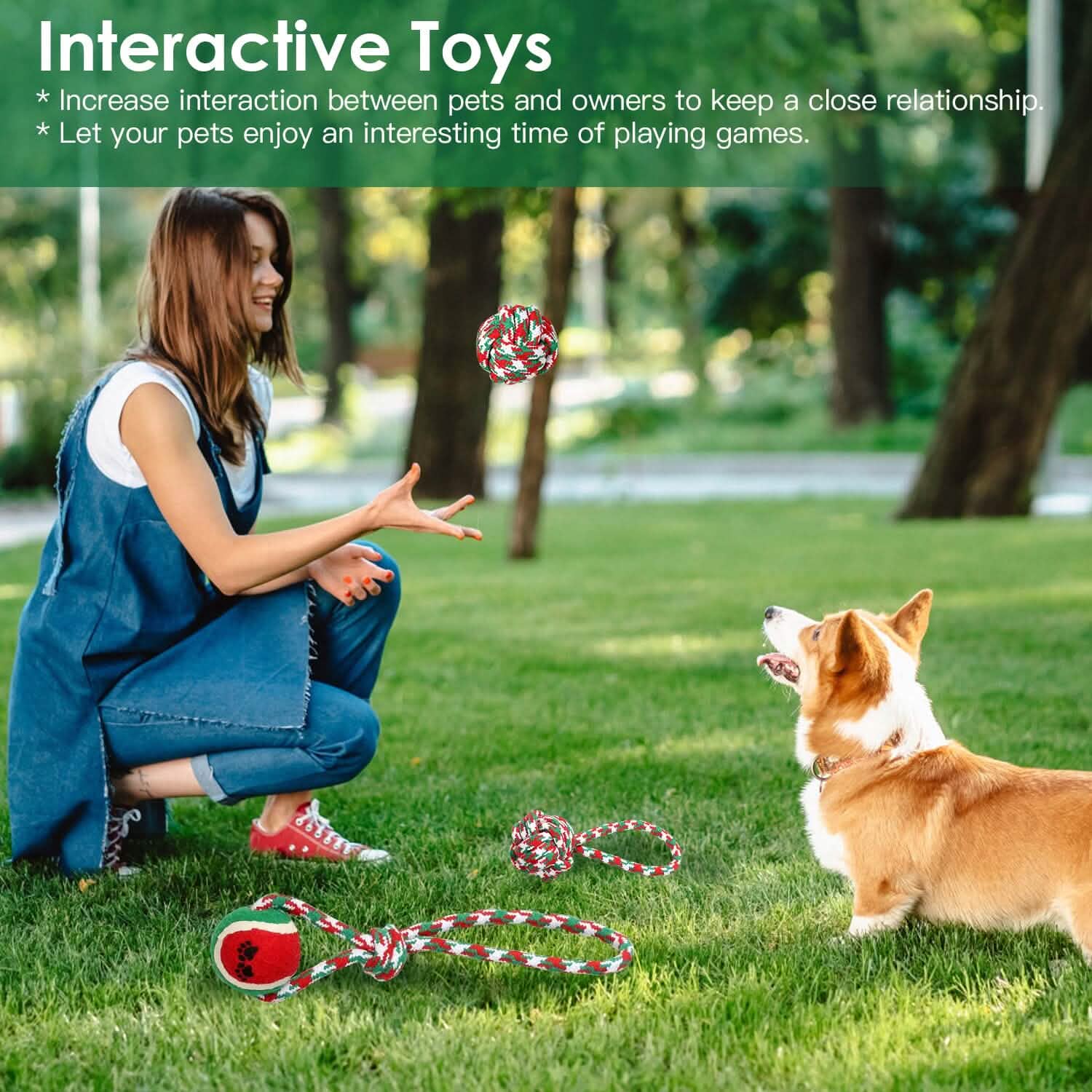 5-Pieces: Christmas Dog Rope Chew Toys DailySale