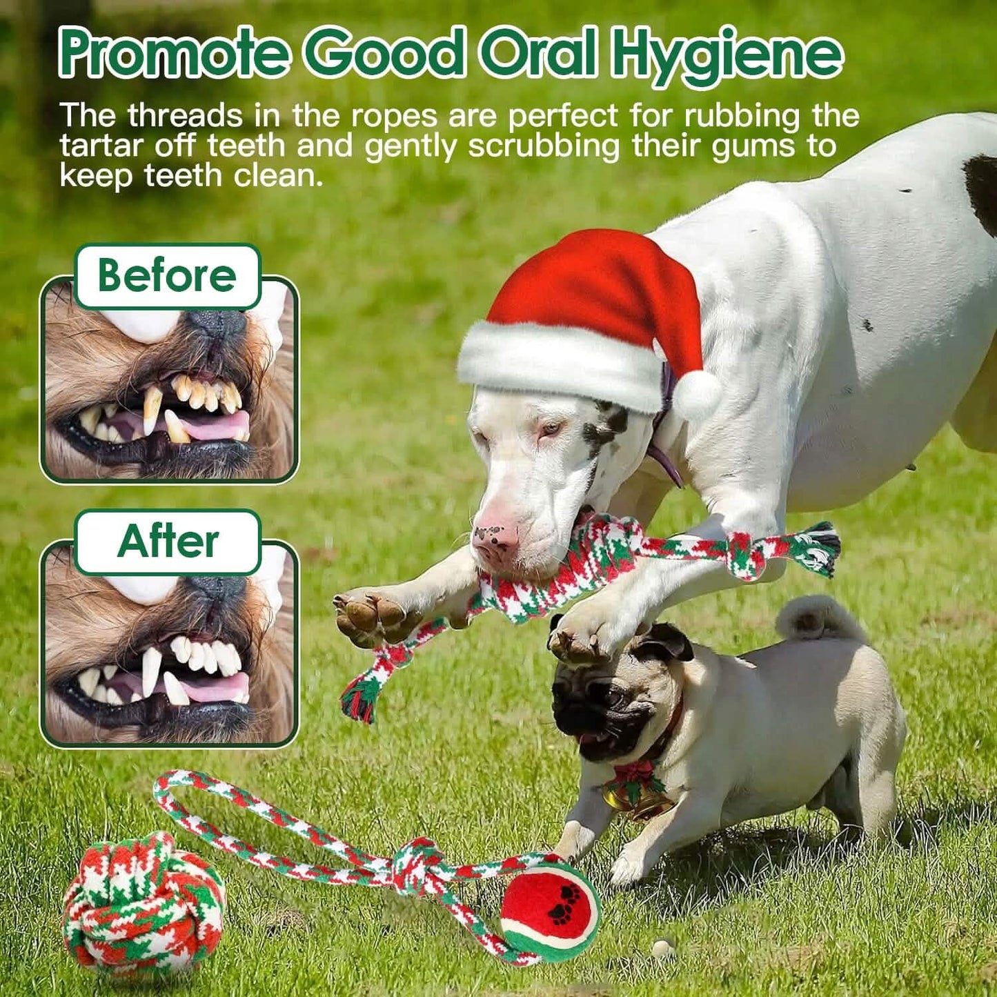 5-Pieces: Christmas Dog Rope Chew Toys DailySale