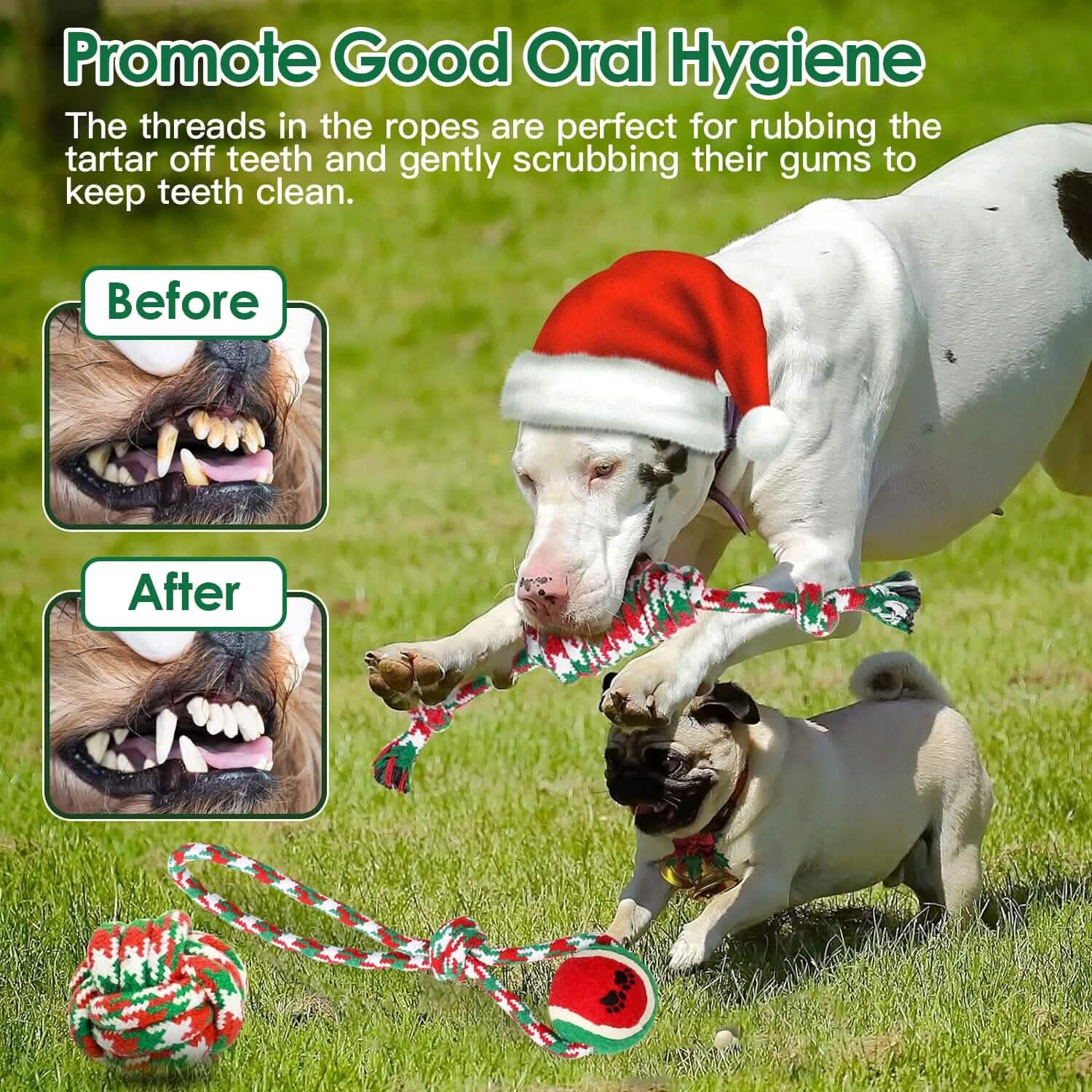 5-Pieces: Christmas Dog Rope Chew Toys DailySale
