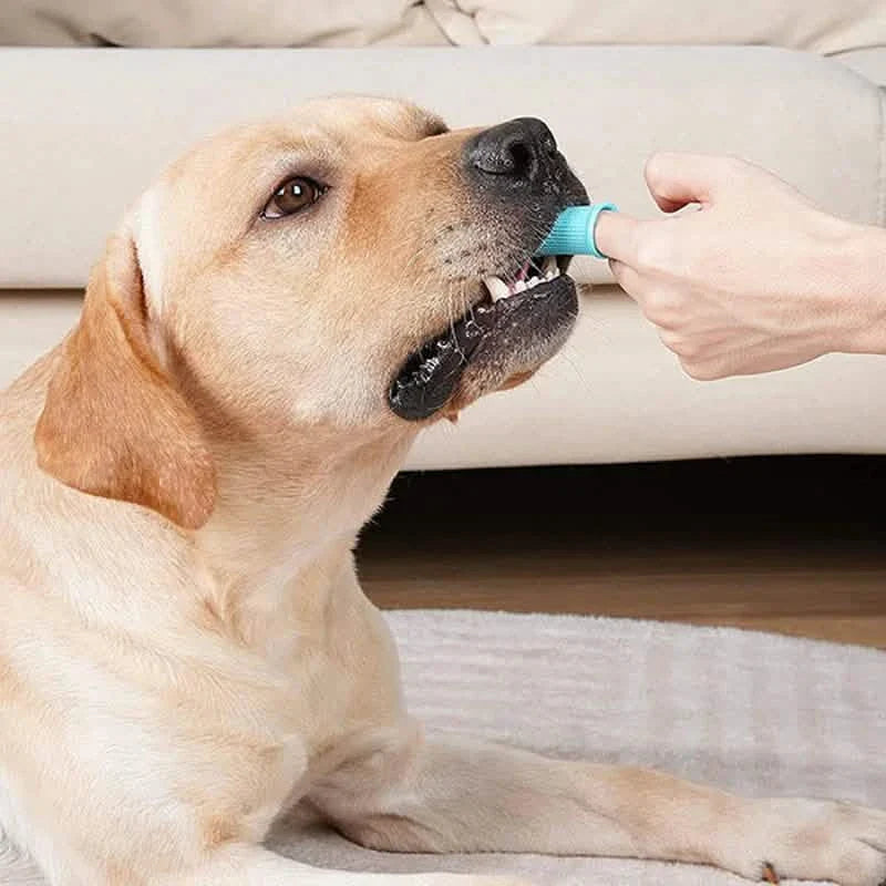 5-Pieces: Super Soft Pet Finger Toothbrush Teeth Cleaning Silicone Tooth Brush DailySale