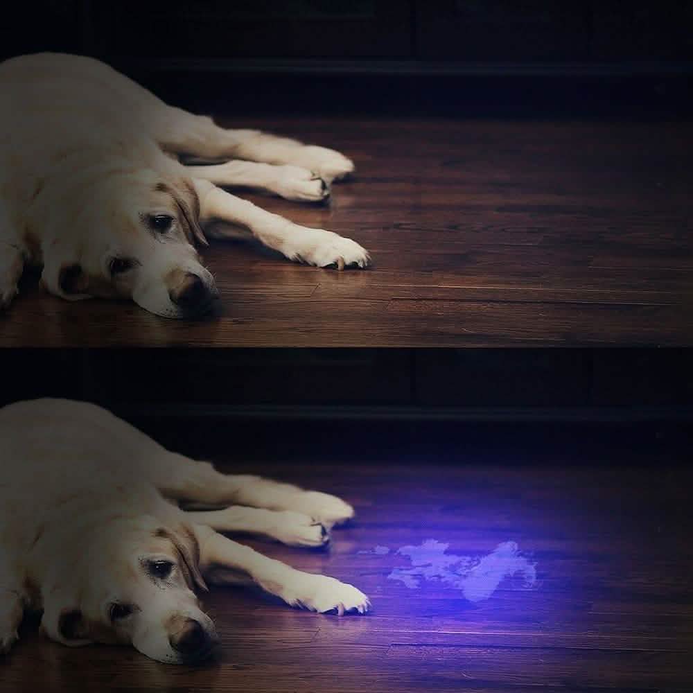51 LED Ultraviolet Blacklight DailySale