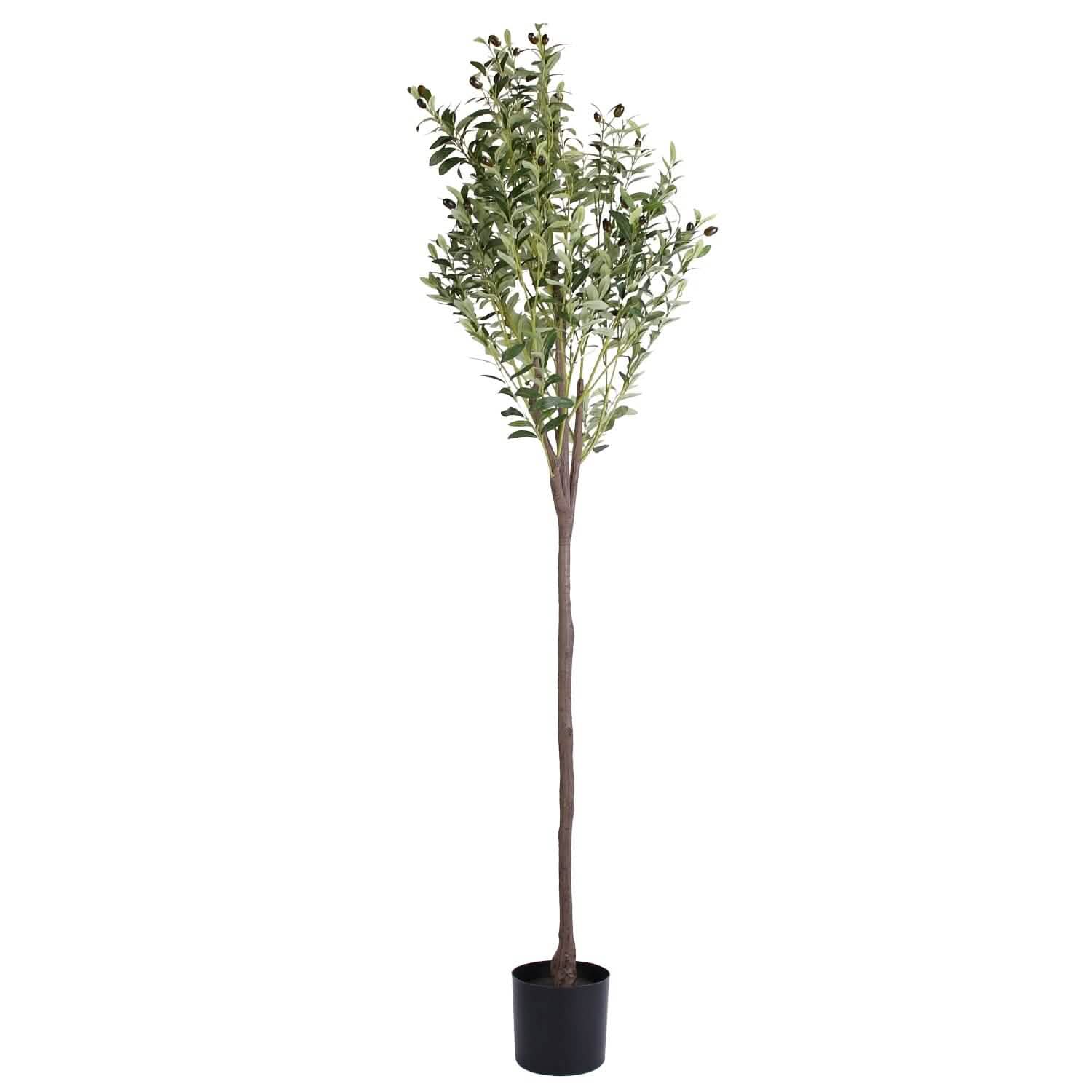 5.9ft Artificial Olive Tree with Lush Olive Branches and Fruits with Black Planter Pot DailySale