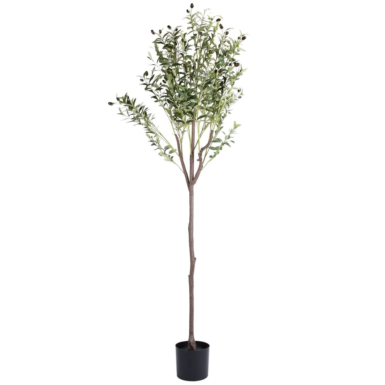 5.9ft Artificial Olive Tree with Lush Olive Branches and Fruits with Black Planter Pot DailySale