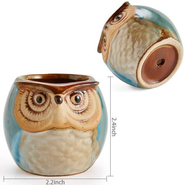 6-Pack: 2.5 Inch Owl Pot Ceramic Base DailySale
