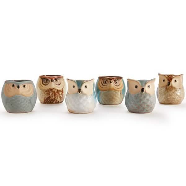 6-Pack: 2.5 Inch Owl Pot Ceramic Base DailySale