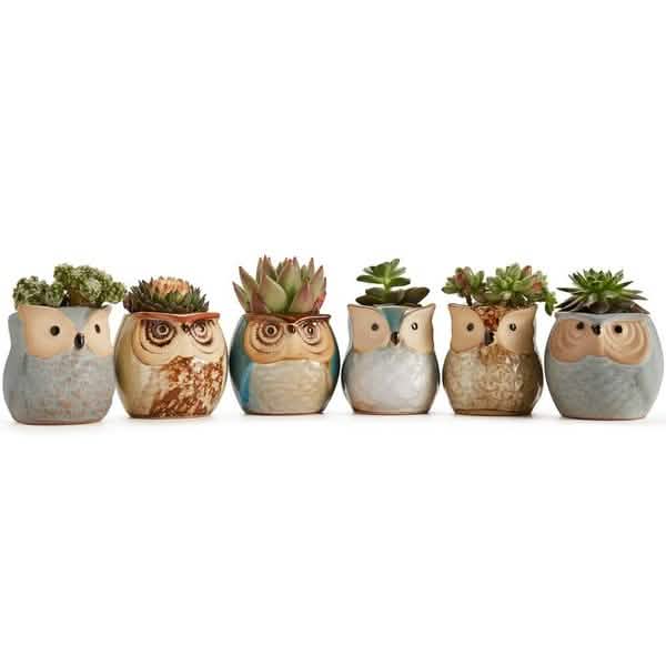 6-Pack: 2.5 Inch Owl Pot Ceramic Base DailySale