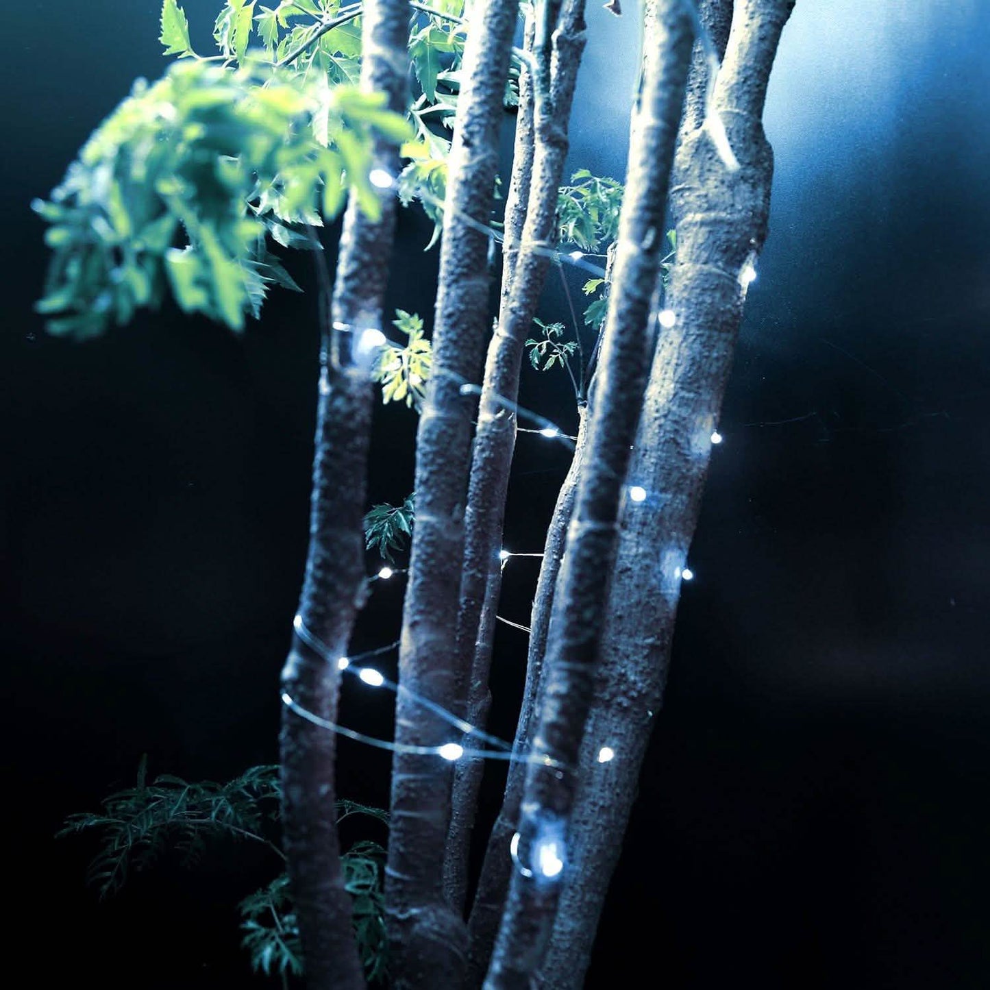 6-Pack: LED String Lights DailySale