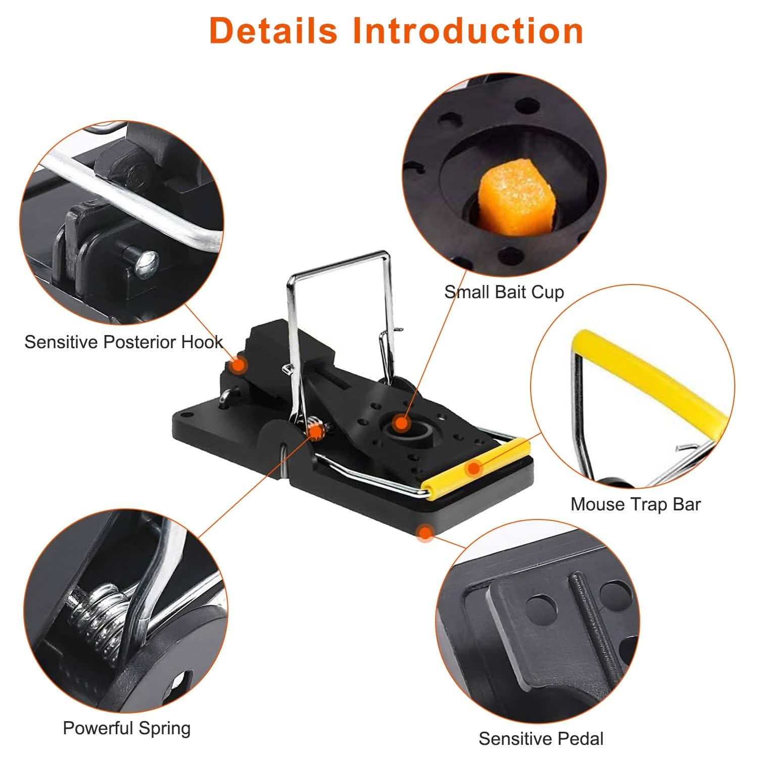 6-Pack: Reusable Mouse Traps DailySale