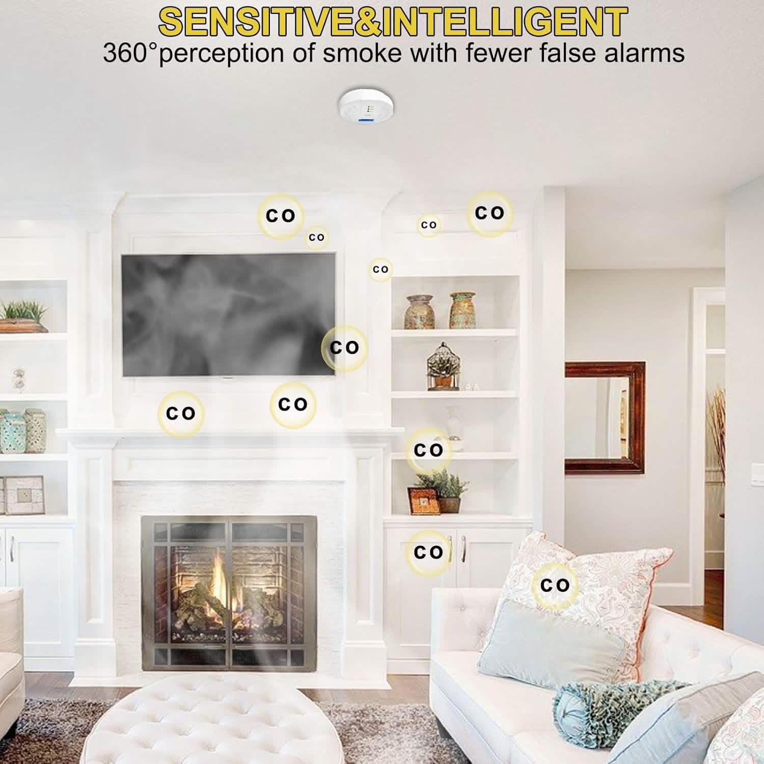 Portable Carbon Monoxide Detector – Battery-Operated CO Alarm DailySale