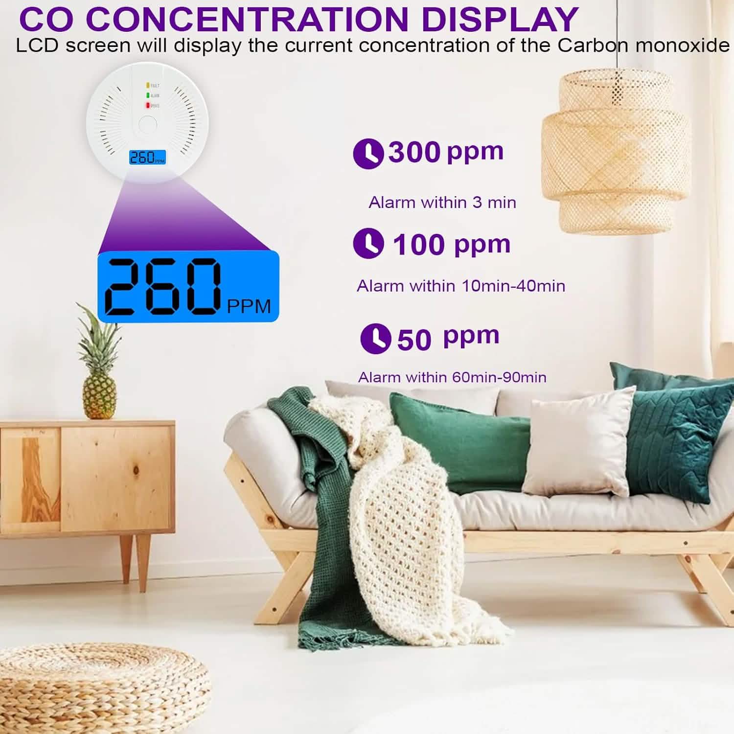 Portable Carbon Monoxide Detector – Battery-Operated CO Alarm DailySale
