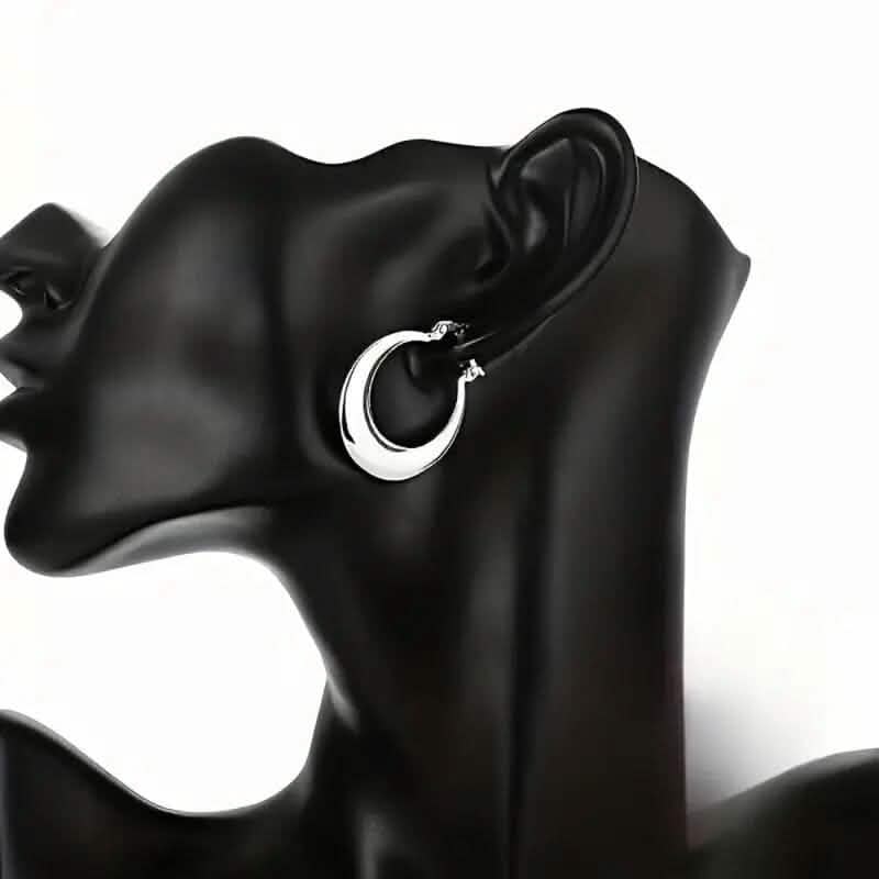 925 Silvery-Plated Hoop Earrings for Women DailySale