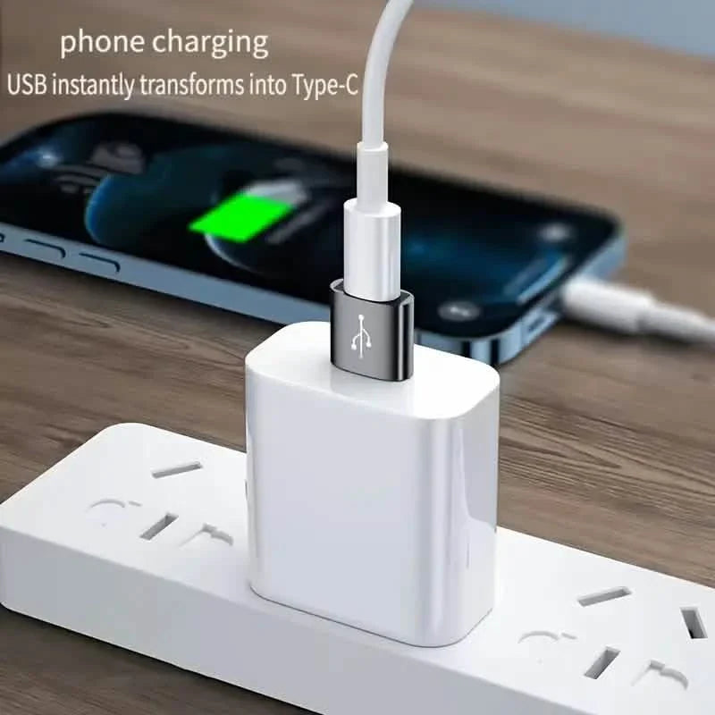 2-Pack: Mini USB to Type-C Adapters – File Transfer for Android Phones DailySale