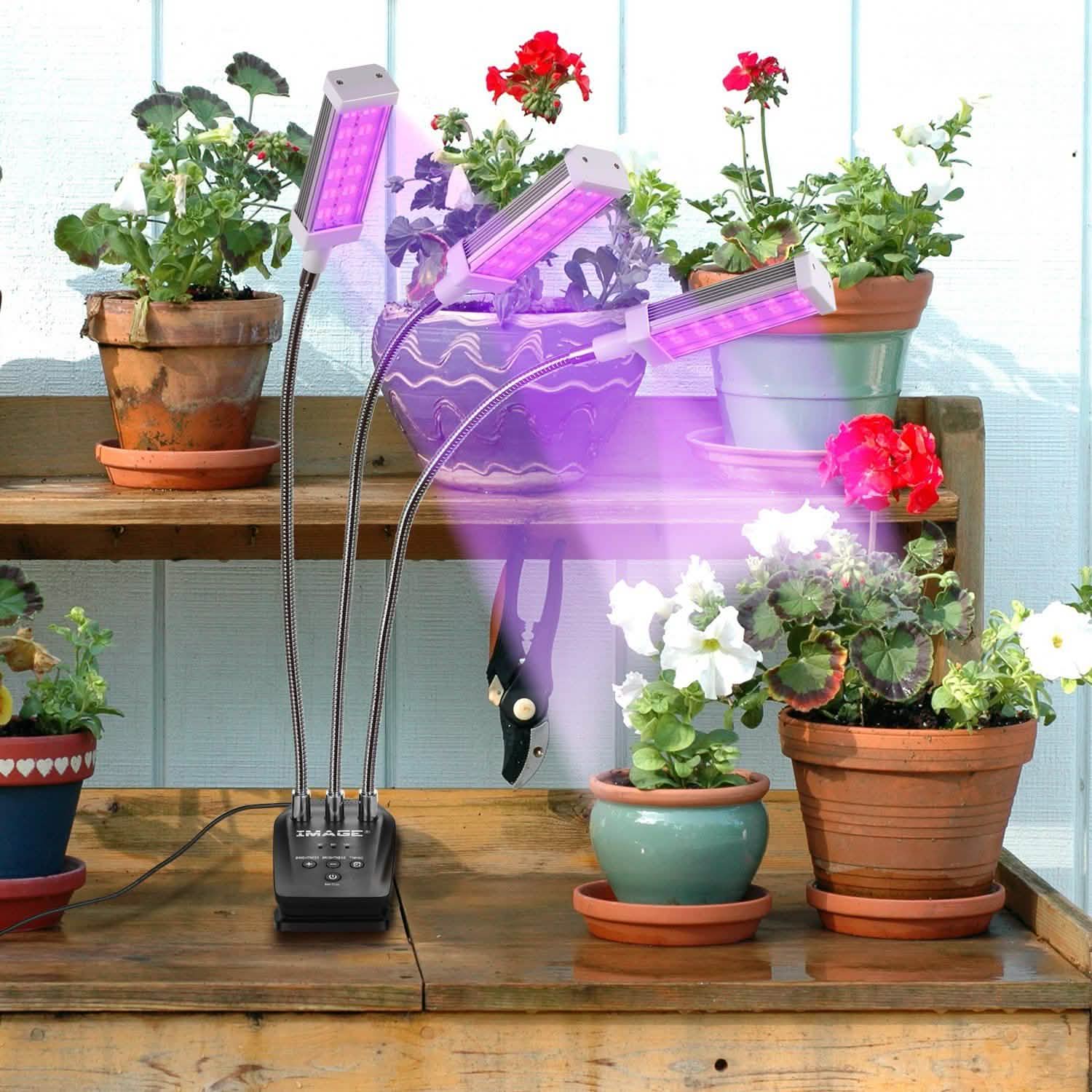 Adjustable 3-Head Grow Lights for Indoor Plants with Timer DailySale