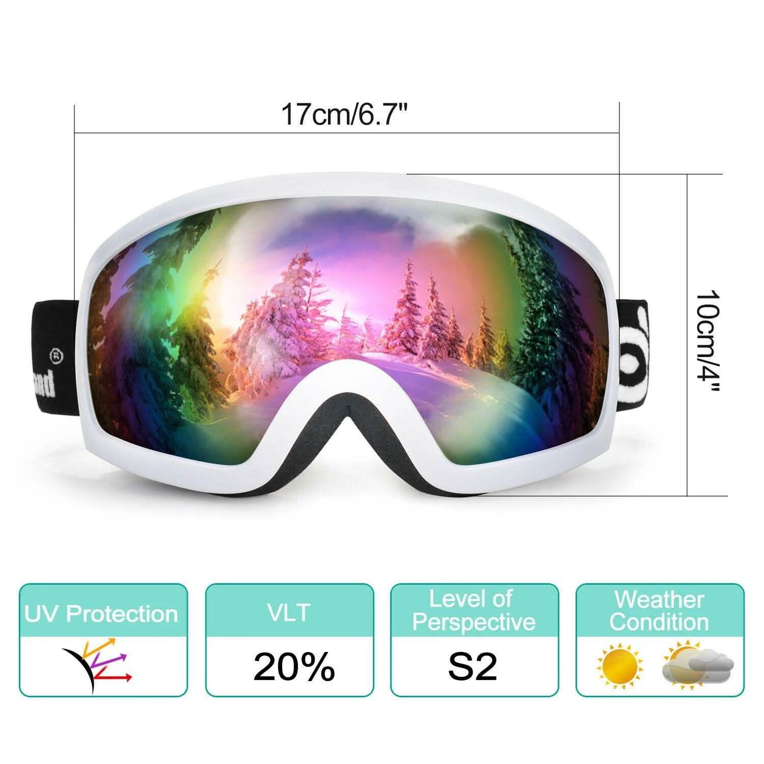 Adult Winter Ski Goggles Double Lens Eyewear Sunglasses DailySale
