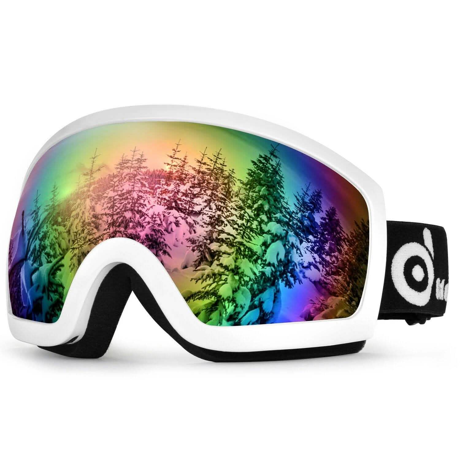 Adult Winter Ski Goggles Double Lens Eyewear Sunglasses DailySale