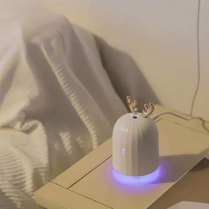 Air Humidifier Essential Oils Diffuser for Aromatherapy DailySale