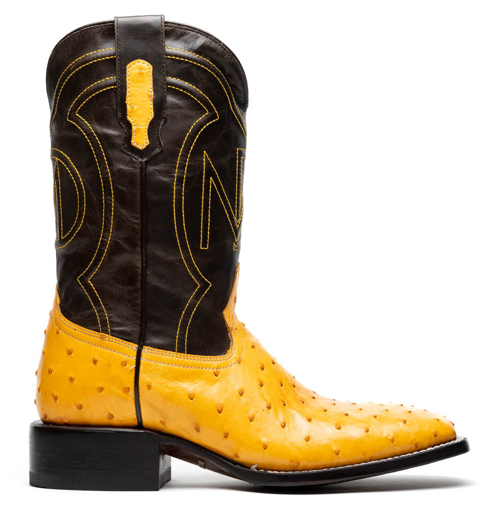 Alabama Buttercup Marco Di Milano