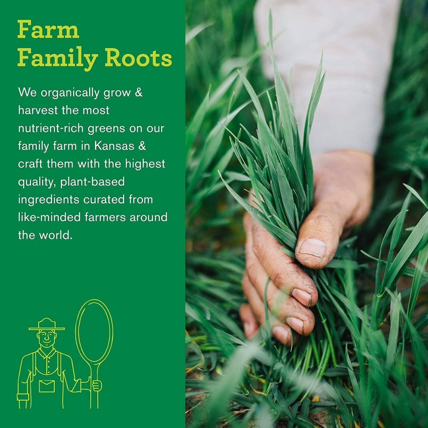 Amazing Grass Green Superfood Water Flavoring Tablet with Antioxidants and Alkalizing Greens DailySale