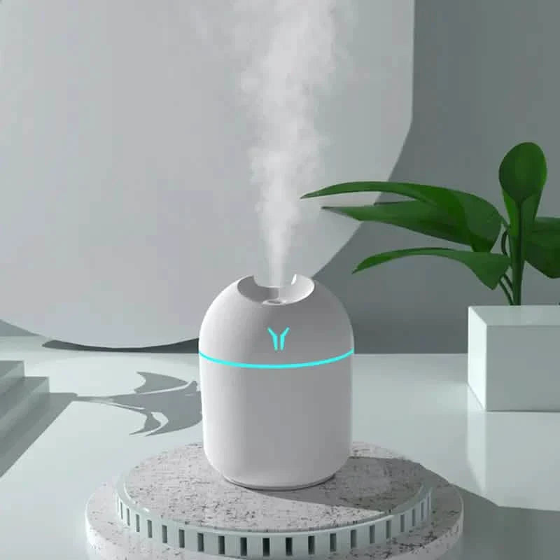Aroma Diffuser & Humidifier Cold Mist & Night Light DailySale