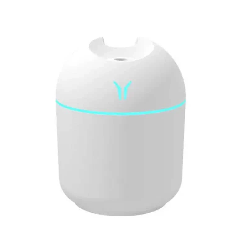 Aroma Diffuser & Humidifier Cold Mist & Night Light DailySale