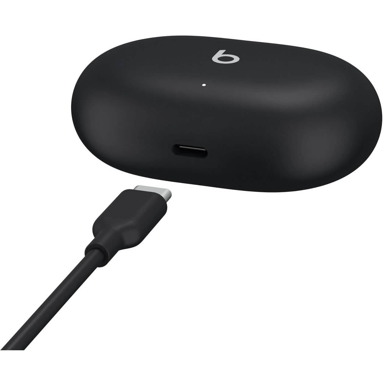 Beats by Dr. Dre - Beats Studio Buds Totally Wireless Noise Cancelling Earbuds DailySale