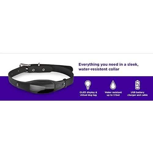 Black+Decker Smart Dog Collar DailySale