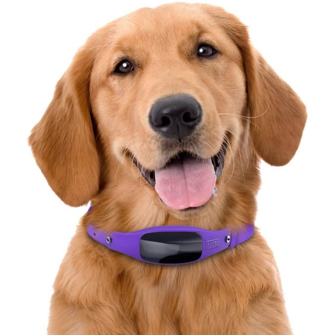 Black+Decker Smart Dog Collar DailySale