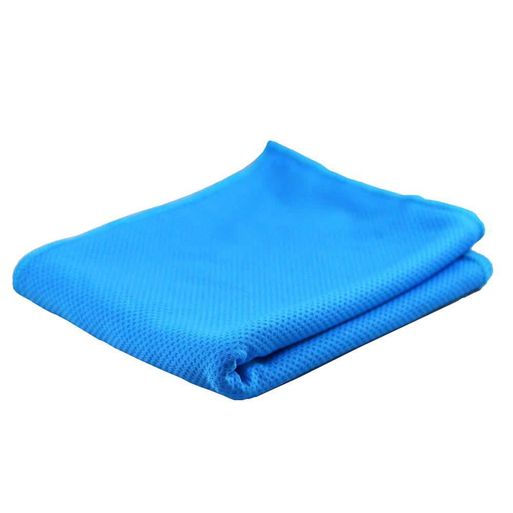 Blue Ice Towel DailySale