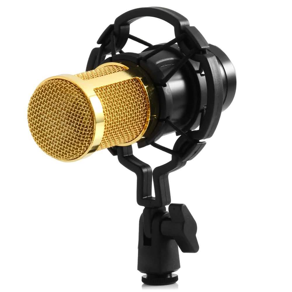 BM-800 Condenser Sound Recording Microphone with Shock Mount for Radio Braodcasting DailySale