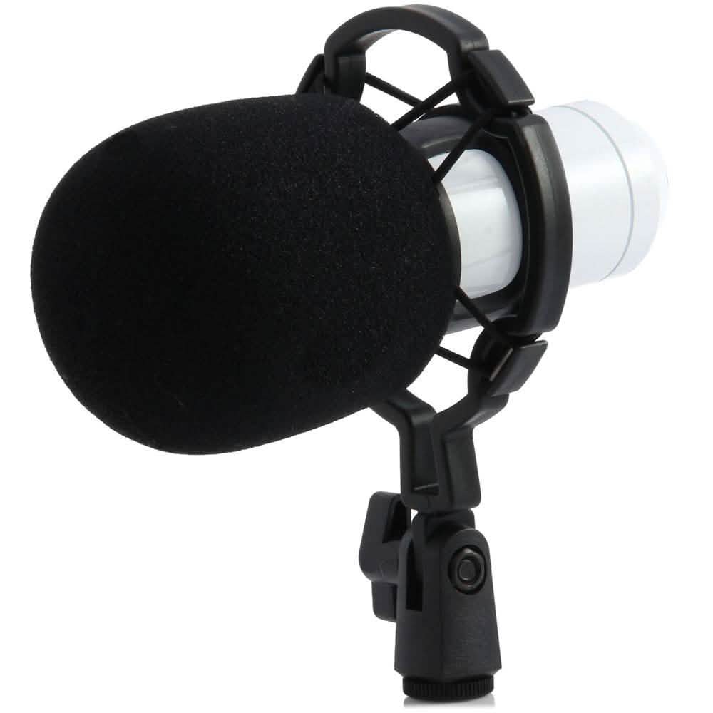 BM-800 Condenser Sound Recording Microphone with Shock Mount for Radio Braodcasting DailySale