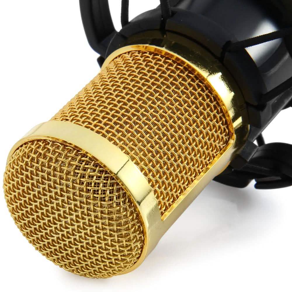 BM-800 Condenser Sound Recording Microphone with Shock Mount for Radio Braodcasting DailySale