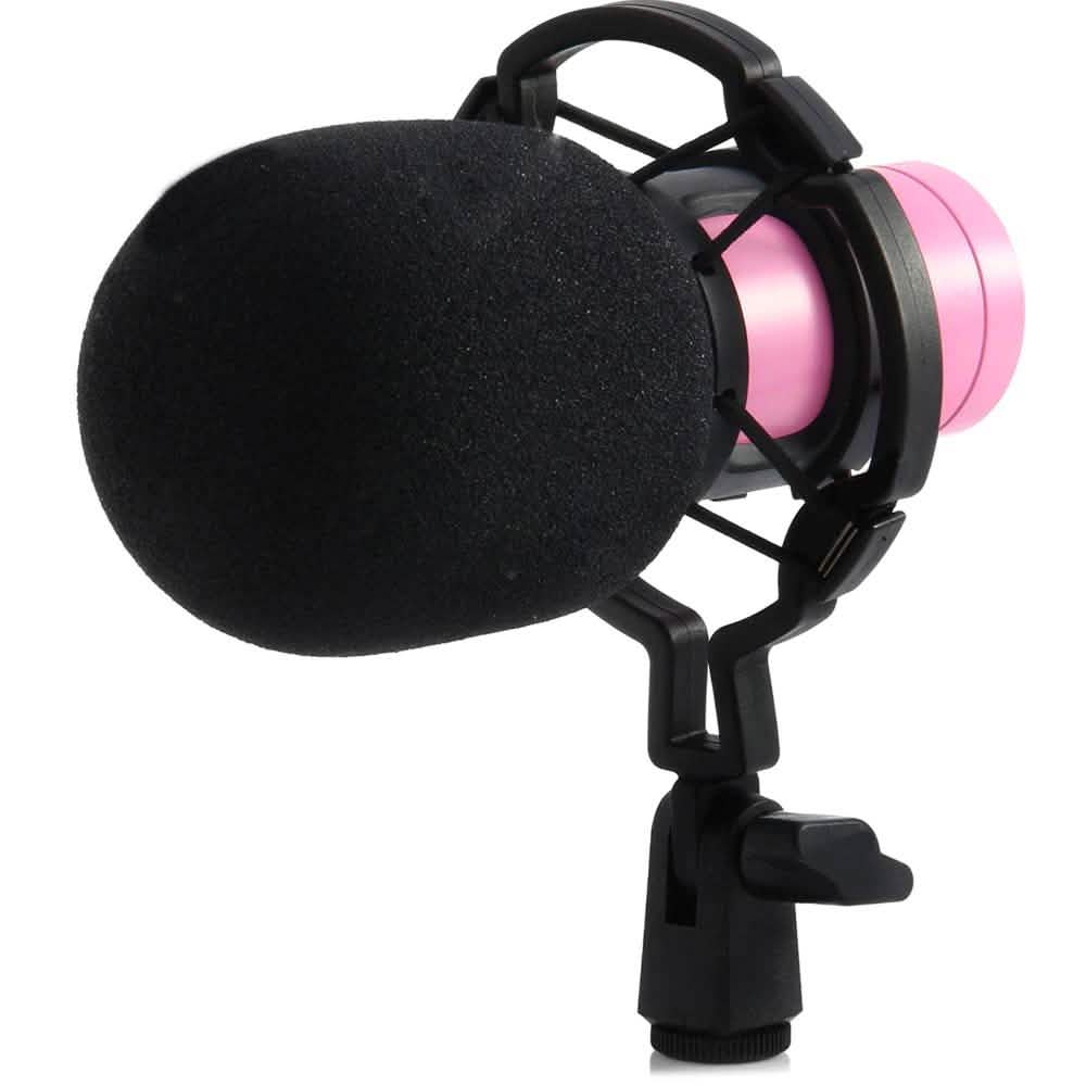 BM-800 Condenser Sound Recording Microphone with Shock Mount for Radio Braodcasting DailySale