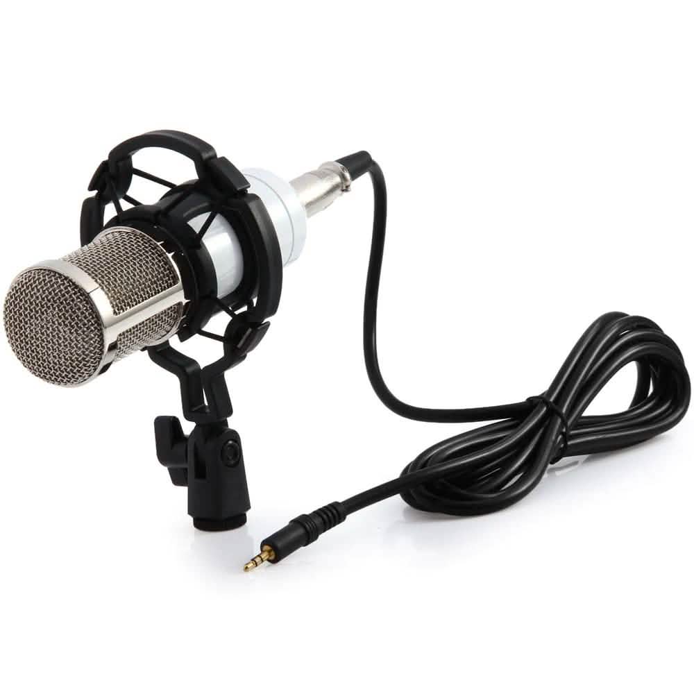 BM-800 Condenser Sound Recording Microphone with Shock Mount for Radio Braodcasting DailySale