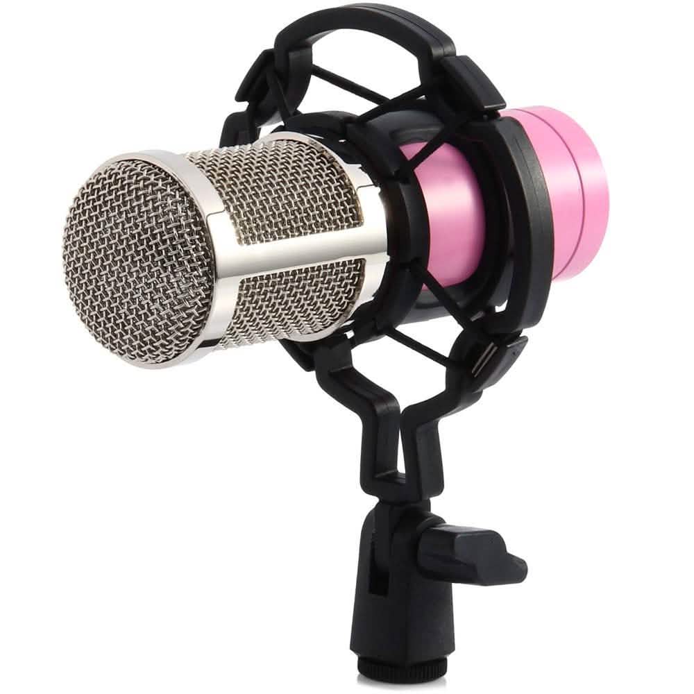 BM-800 Condenser Sound Recording Microphone with Shock Mount for Radio Braodcasting DailySale